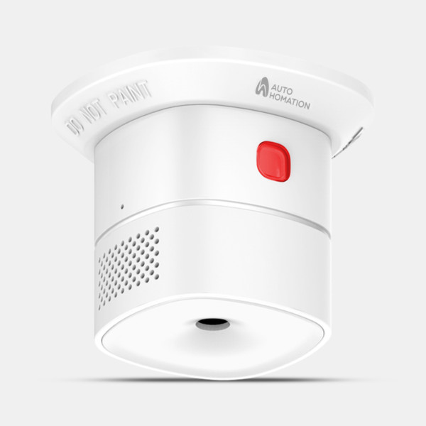AH Carbon Monoxide Sensor - HS1CA-TY​
